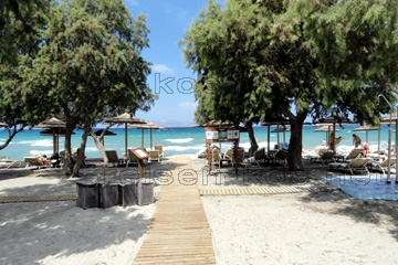 Strand direkt mit Zugang von unserem gebuchten Hotel in der Hotelanlage mit Swimmingpool auf der Insel Kos.
