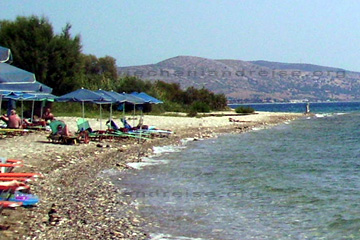 Das ist dar Strand in Richtung Tigani Strand, von hier ist es nicht weit bis zum Hera Tempel auf der griechischen Insel Samos. Dabei handelt es sich um einen Kies Strand wie man auf dem Bild von Ireon erkennt.