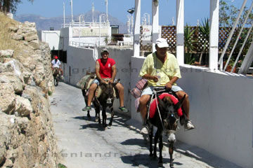 Touristen die auf dem Rücken von Eseln zum Burgberg in Lindos auf der griechischen Insel Rhodos hinauf reiten.