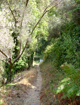 Fußweg in dem Bergdorf Manolates auf der griechischen Insel Samos. Der Wanderweg führt steil nach unten eher als Pfad, man sollte festes Schuhwerk haben.