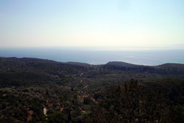 Blick über ausgedehnte Waldgebiete bei der Inselrundfahrt in der Nähe von dem Bergdorf Pyrgos, auf der griechischen Insel Samos.
