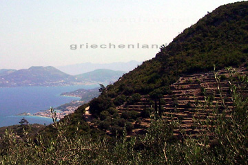 Terrassenfeld und im Hintergrund die Buchten bei Kokkari, gen Osten in Richtung Samos Stadt (Vathi) Griechische Insel Samos.