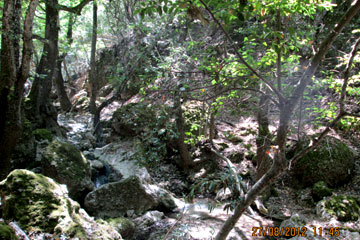 Büsche und kleine Bäume zwischen Felsbrocken im Schmetterlingstal auf der griechischen Insel Rhodos.